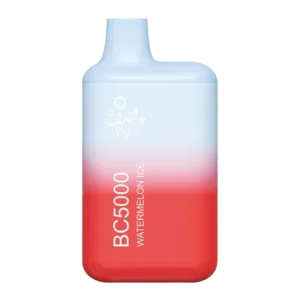 Light sweet watermelon flavor with refreshing ice finish — 수박 과즙감 디자인과 차가운 컬러 포인트가 담긴 BC5000 Watermelon Ice vape.