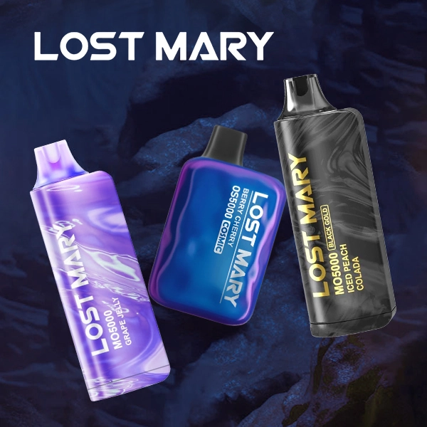 LOST MARY